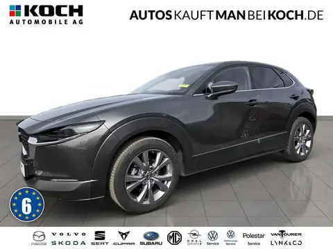 Used MAZDA CX-30 Petrol 2023 Ad 