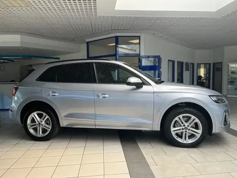 Used AUDI Q5 Diesel 2023 Ad 