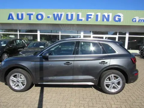 Used AUDI Q5 Diesel 2023 Ad 