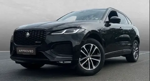 Used JAGUAR F-PACE Hybrid 2023 Ad 