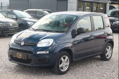 Annonce FIAT PANDA Essence 2019 d'occasion 