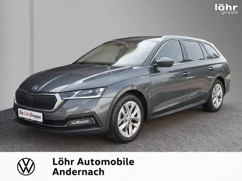 Used SKODA OCTAVIA Diesel 2020 Ad 