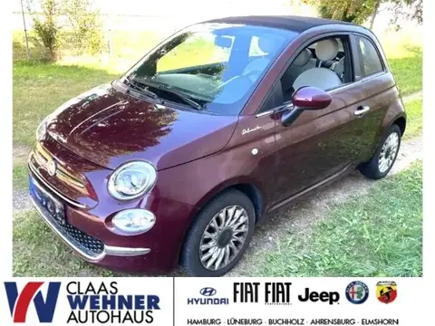 Used FIAT 500 Petrol 2021 Ad 