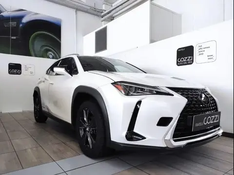 Used LEXUS UX Hybrid 2020 Ad 