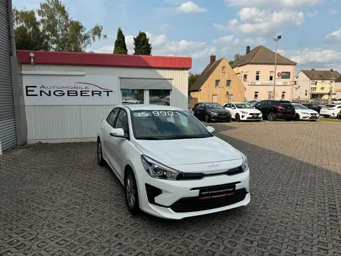 Annonce KIA RIO Essence 2023 d'occasion 