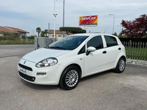 Used FIAT PUNTO Petrol 2016 Ad 