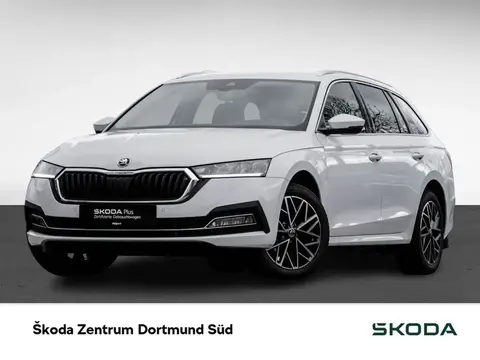 Annonce SKODA OCTAVIA Diesel 2024 d'occasion 