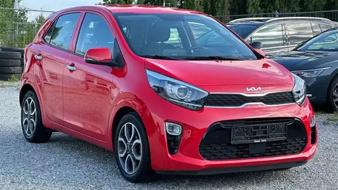 Used KIA PICANTO Petrol 2023 Ad 