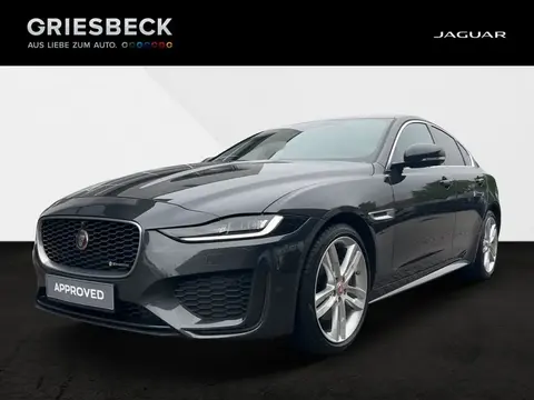 Used JAGUAR XE Diesel 2022 Ad 