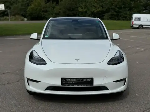 Used TESLA MODEL Y Not specified 2023 Ad 