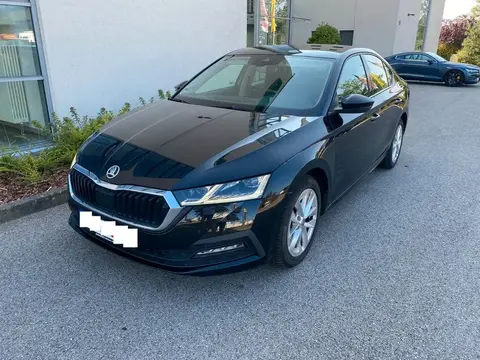 Used SKODA OCTAVIA Diesel 2021 Ad 