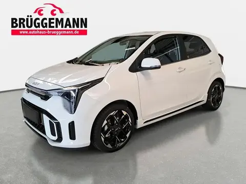 Annonce KIA PICANTO Essence 2024 d'occasion 