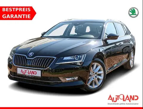 Annonce SKODA SUPERB Diesel 2019 d'occasion 