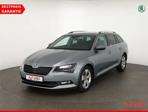 Annonce SKODA SUPERB Diesel 2019 d'occasion 