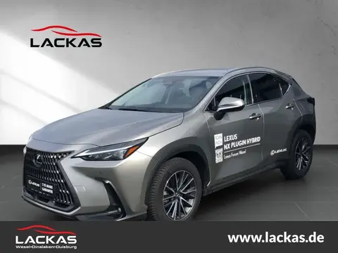 Annonce LEXUS NX Hybride 2023 d'occasion 