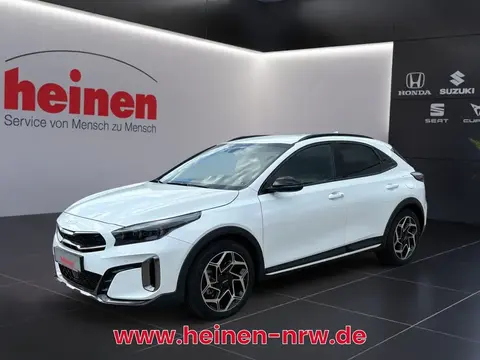 Annonce KIA XCEED Essence 2024 d'occasion 