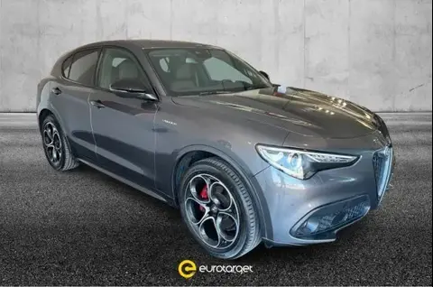 Used ALFA ROMEO STELVIO Diesel 2022 Ad 