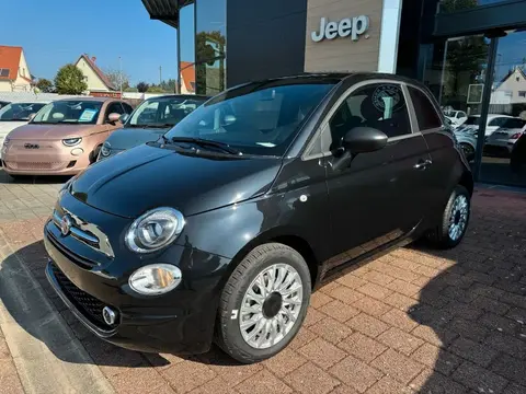 Used FIAT 500 Petrol 2023 Ad 