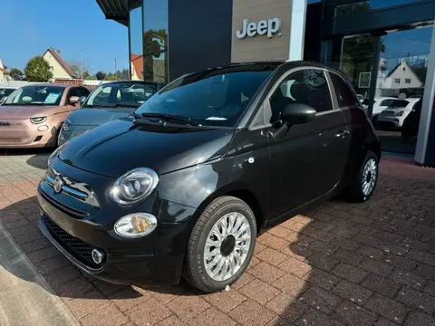 Used FIAT 500 Petrol 2023 Ad 