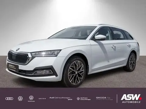 Annonce SKODA OCTAVIA Diesel 2024 d'occasion 