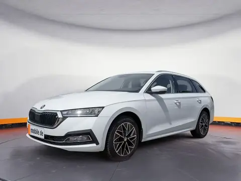 Annonce SKODA OCTAVIA Diesel 2024 d'occasion 