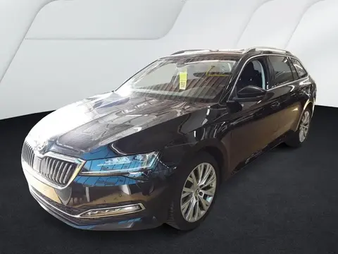 Annonce SKODA SUPERB Diesel 2023 d'occasion 