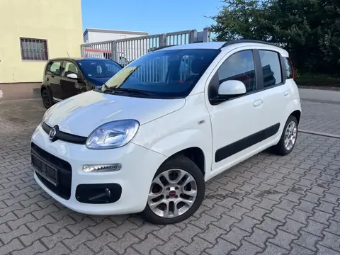 Used FIAT PANDA Petrol 2017 Ad 