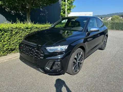 Annonce AUDI SQ5 Diesel 2024 d'occasion 