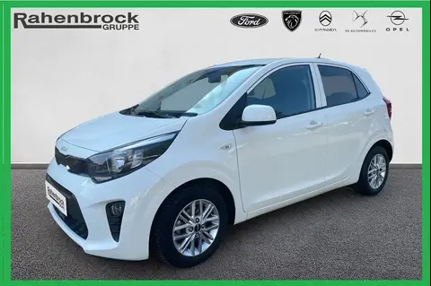 Used KIA PICANTO Petrol 2023 Ad 