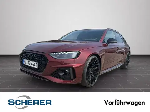 Annonce AUDI RS4 Essence 2024 d'occasion 