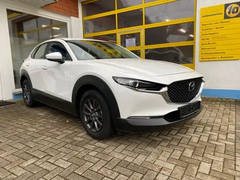 Annonce MAZDA CX-30 Essence 2023 d'occasion 