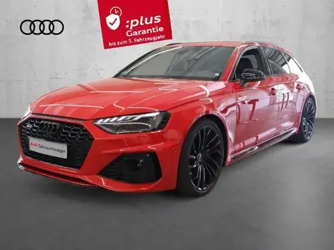 Used AUDI RS4 Petrol 2023 Ad 