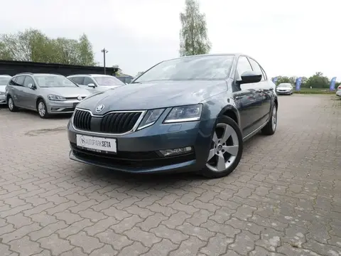 Annonce SKODA OCTAVIA Diesel 2018 d'occasion 