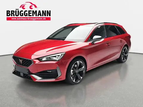 Annonce CUPRA LEON Essence 2024 d'occasion 