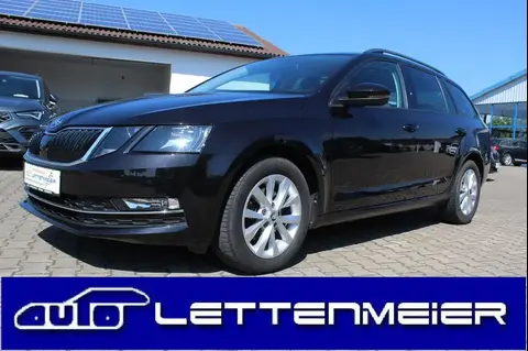 Used SKODA OCTAVIA Petrol 2019 Ad 