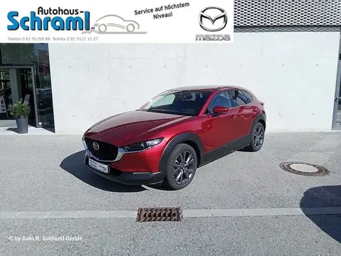 Annonce MAZDA CX-30 Essence 2020 d'occasion 