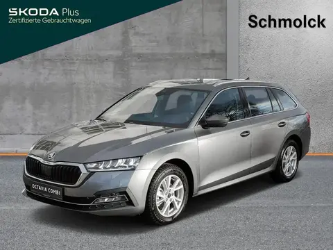 Annonce SKODA OCTAVIA Diesel 2024 d'occasion 