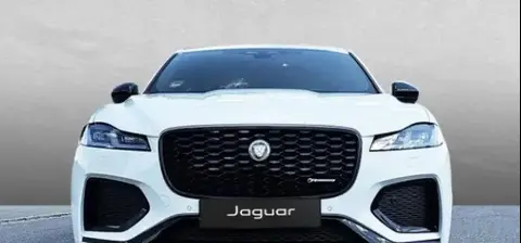 Used JAGUAR F-PACE Hybrid 2023 Ad 