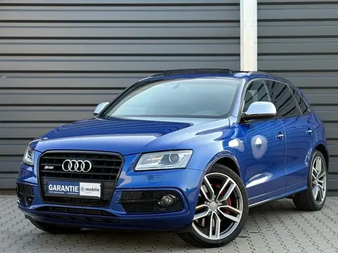 Annonce AUDI SQ5 Diesel 2016 d'occasion 