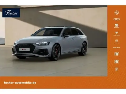 Used AUDI RS4 Petrol 2024 Ad 