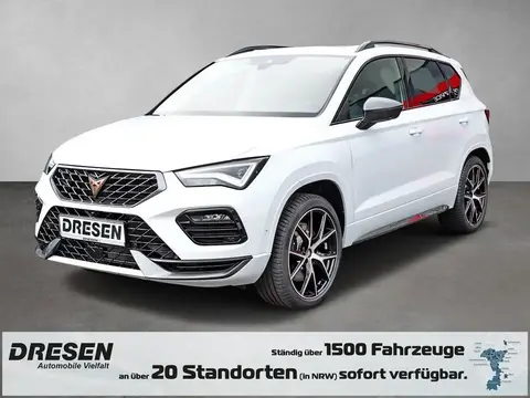 Used CUPRA ATECA Petrol 2023 Ad 