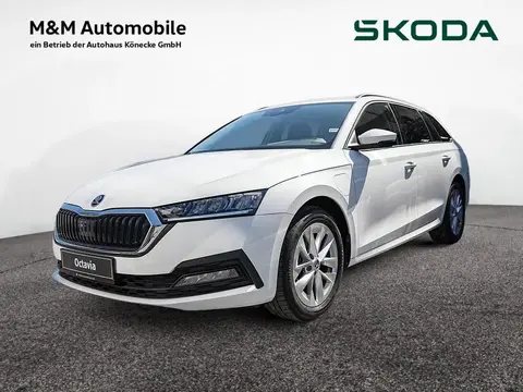 Annonce SKODA OCTAVIA Hybride 2022 d'occasion 