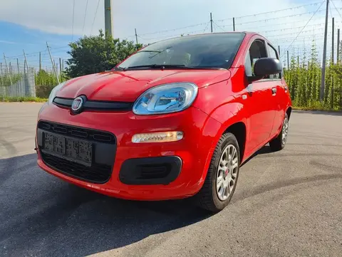 Annonce FIAT PANDA Essence 2021 d'occasion 