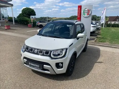 Used SUZUKI IGNIS Petrol 2024 Ad 