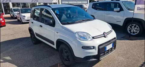 Used FIAT PANDA Petrol 2019 Ad 