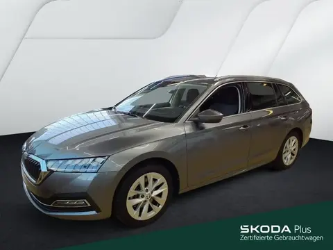 Annonce SKODA OCTAVIA Essence 2024 d'occasion 