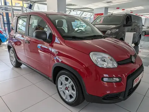 Used FIAT PANDA Petrol 2024 Ad 