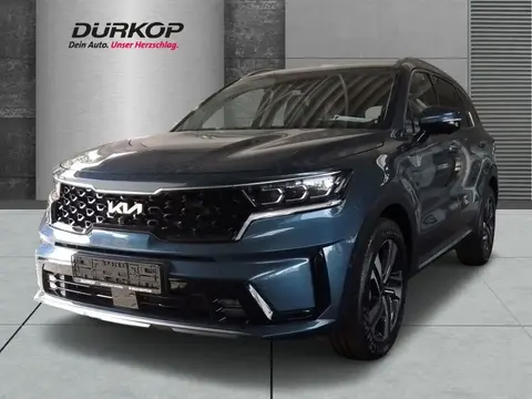 Annonce KIA SORENTO Hybride 2024 d'occasion 