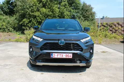 Used TOYOTA RAV4 Hybrid 2022 Ad 