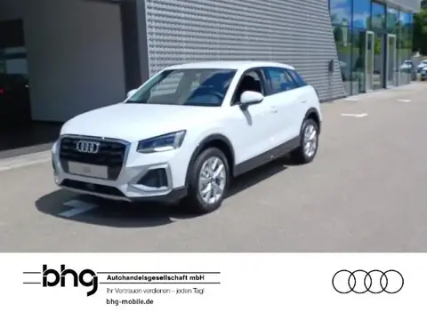 Annonce AUDI Q2 Essence 2024 d'occasion 